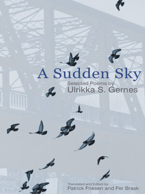 cover image of A Sudden Sky